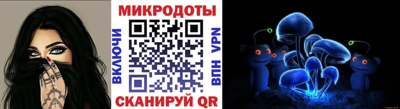 как найти   Невинномысск  Галлюциногенные грибы Magic Shrooms 